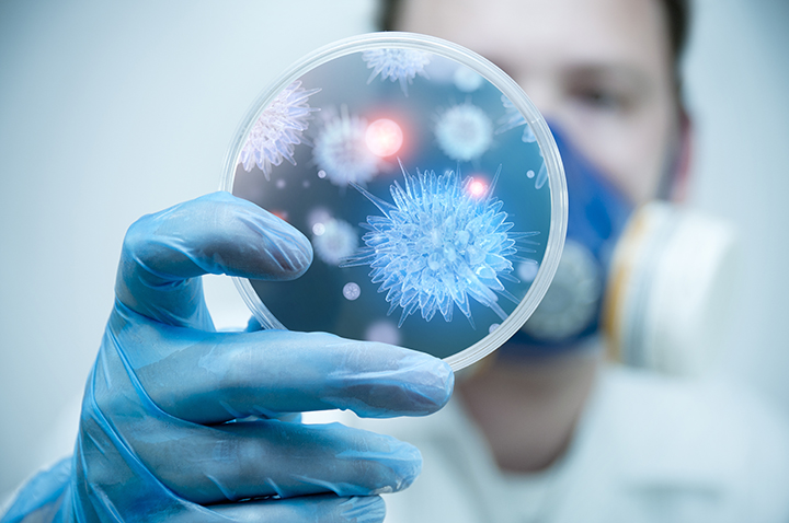 Corona Virus (1)