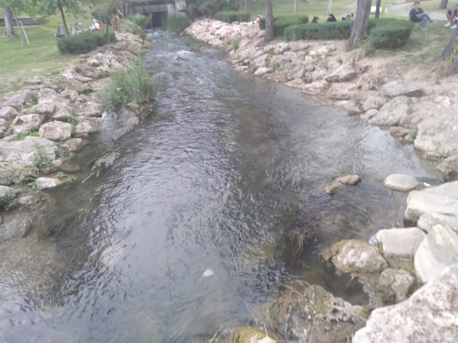 Dbb9Bdde 37Eb 4Fb7 B499 13A68141C09A