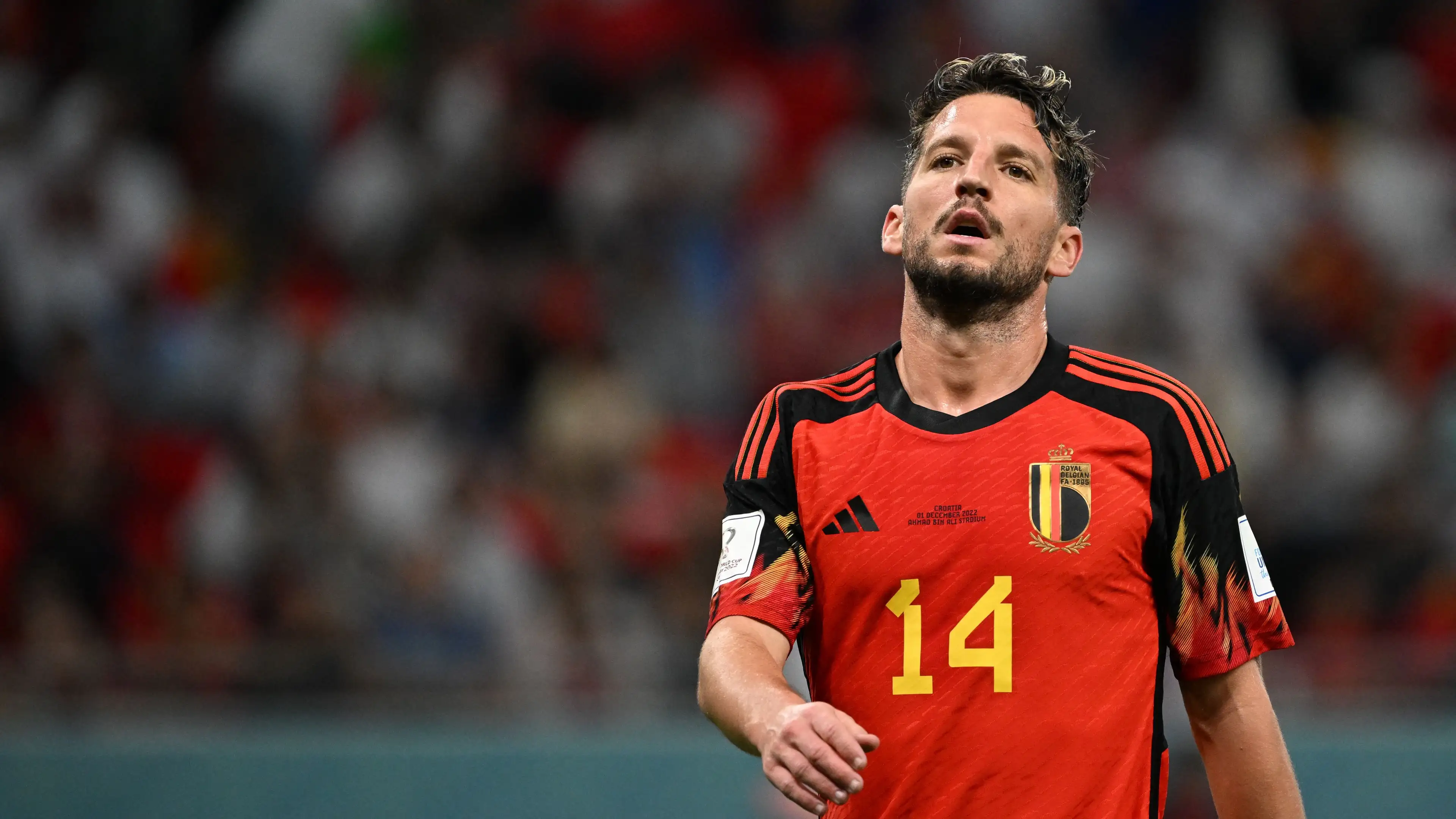 Dries Mertens Galatasaray