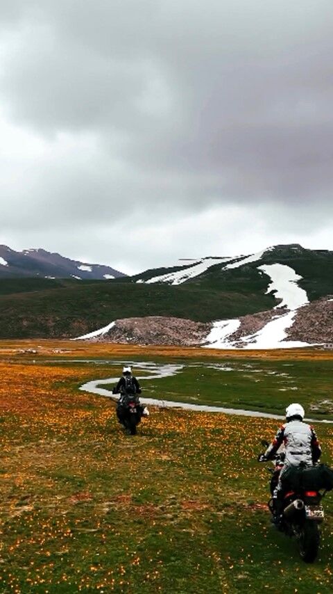 Endemik Cicekleri Motosikletle Ezdiler 46251 (4) (Small)