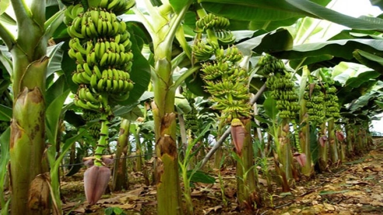 Fb207905656B567Fbbd0E5963Aa02Aa0