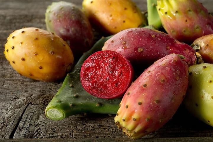 Frenk Yemişi (Small)