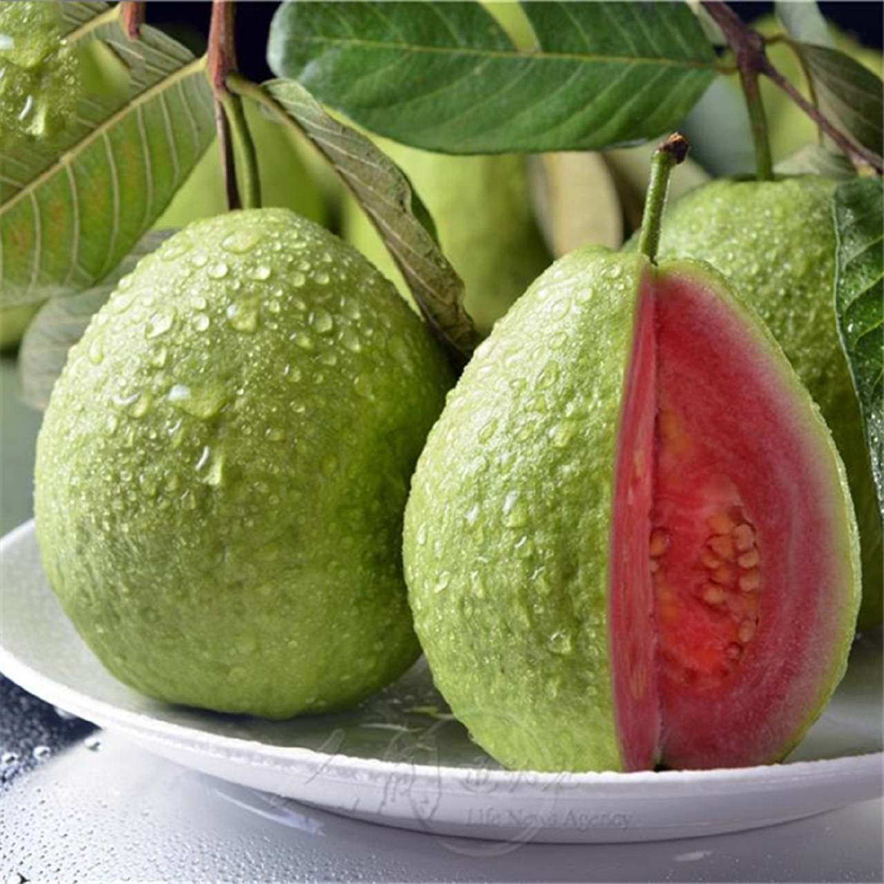 Guava