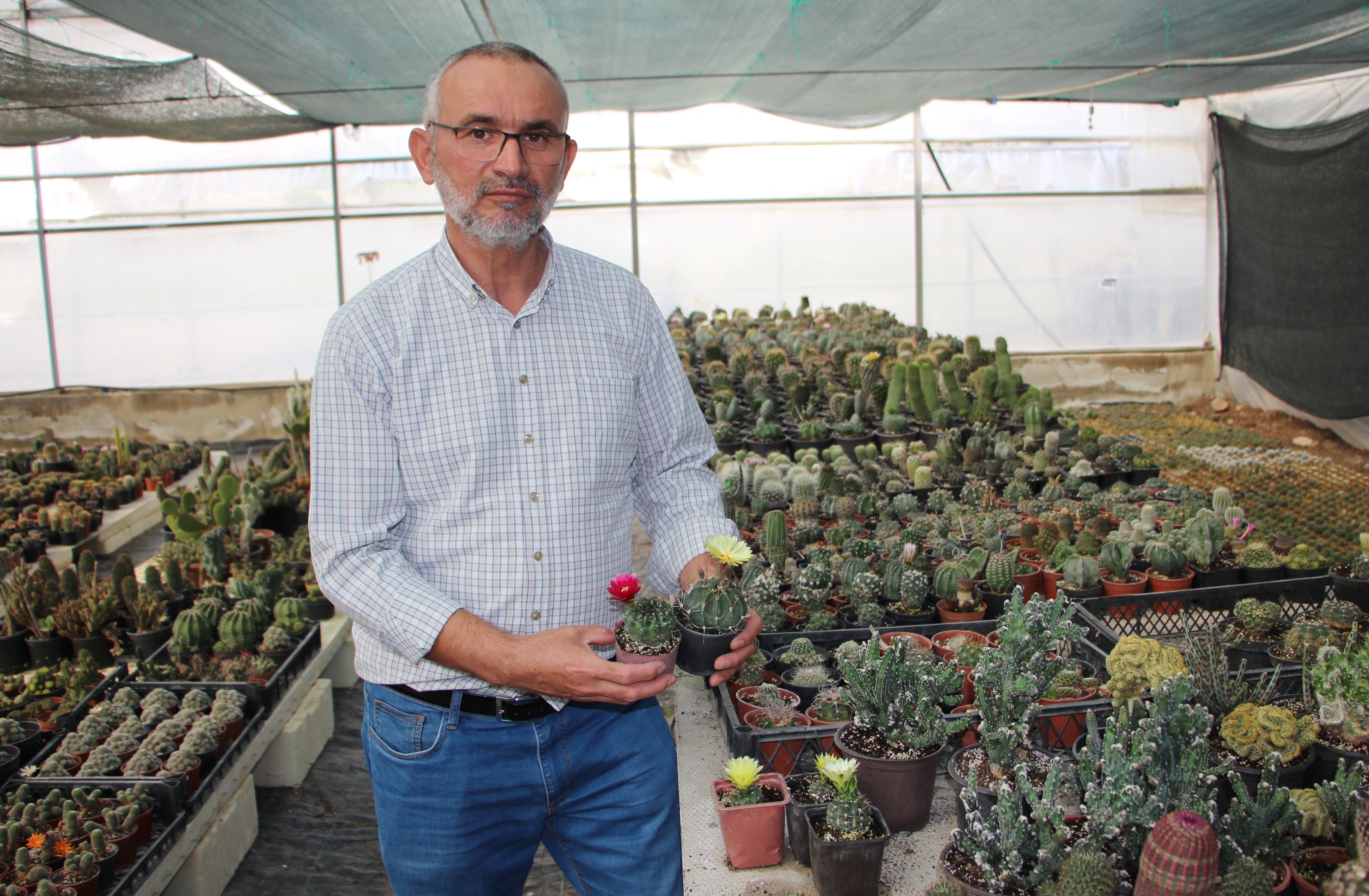 Hedef Kaktuste Ithalin Onune Gecmek 40947 (1)