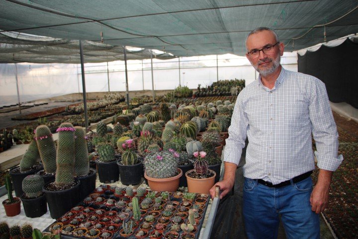 Hedef Kaktuste Ithalin Onune Gecmek 40947 (2) (Small)