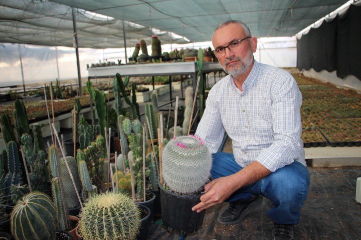 Hedef Kaktuste Ithalin Onune Gecmek 40947 (3) (Small)