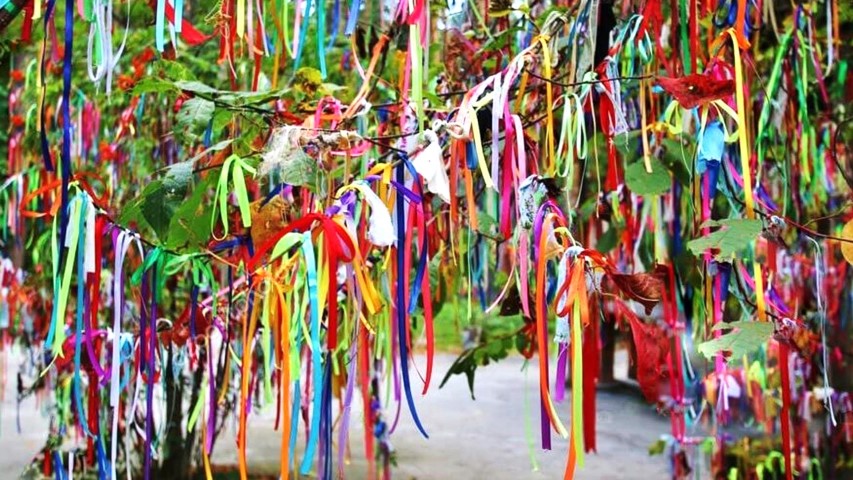 Hidirellez Ne Zaman 2022 Ngjp Cover (Small)