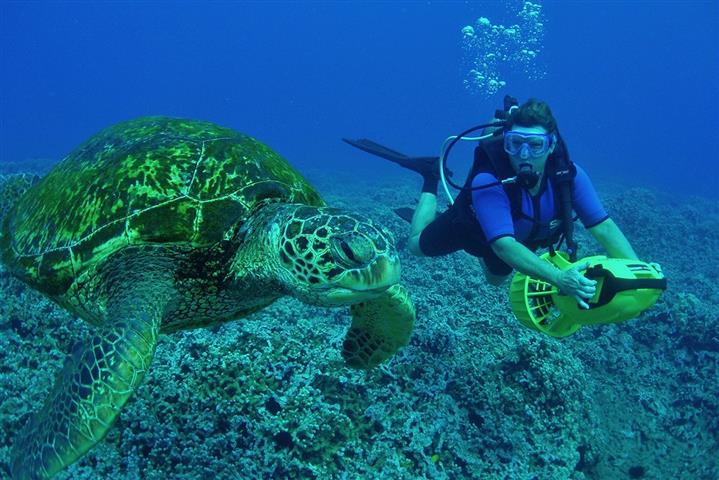 Kas Dalıs Merkezi (Small)