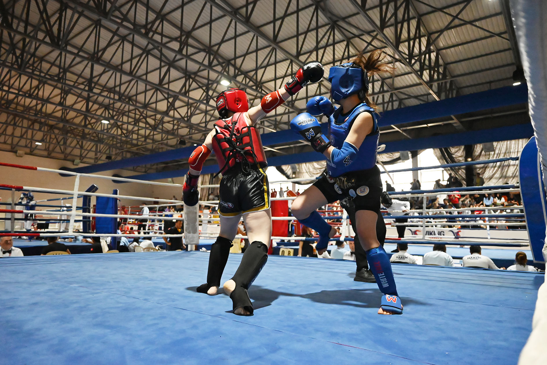 Kemer Muaythai Sampiyonasi