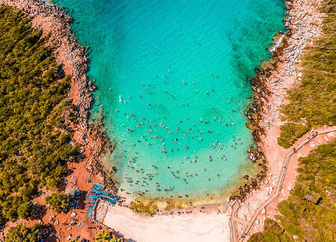 Kleopatra Koyu (Small)