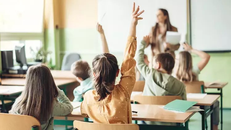 Mufredat Degisikligi