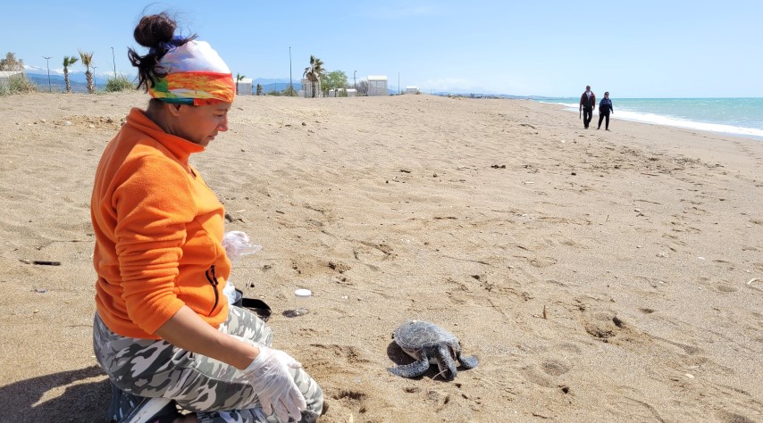 N E S L I T E H L I K E D E K I Y E S I L D E N I Z K A P L U M B A G A 35508