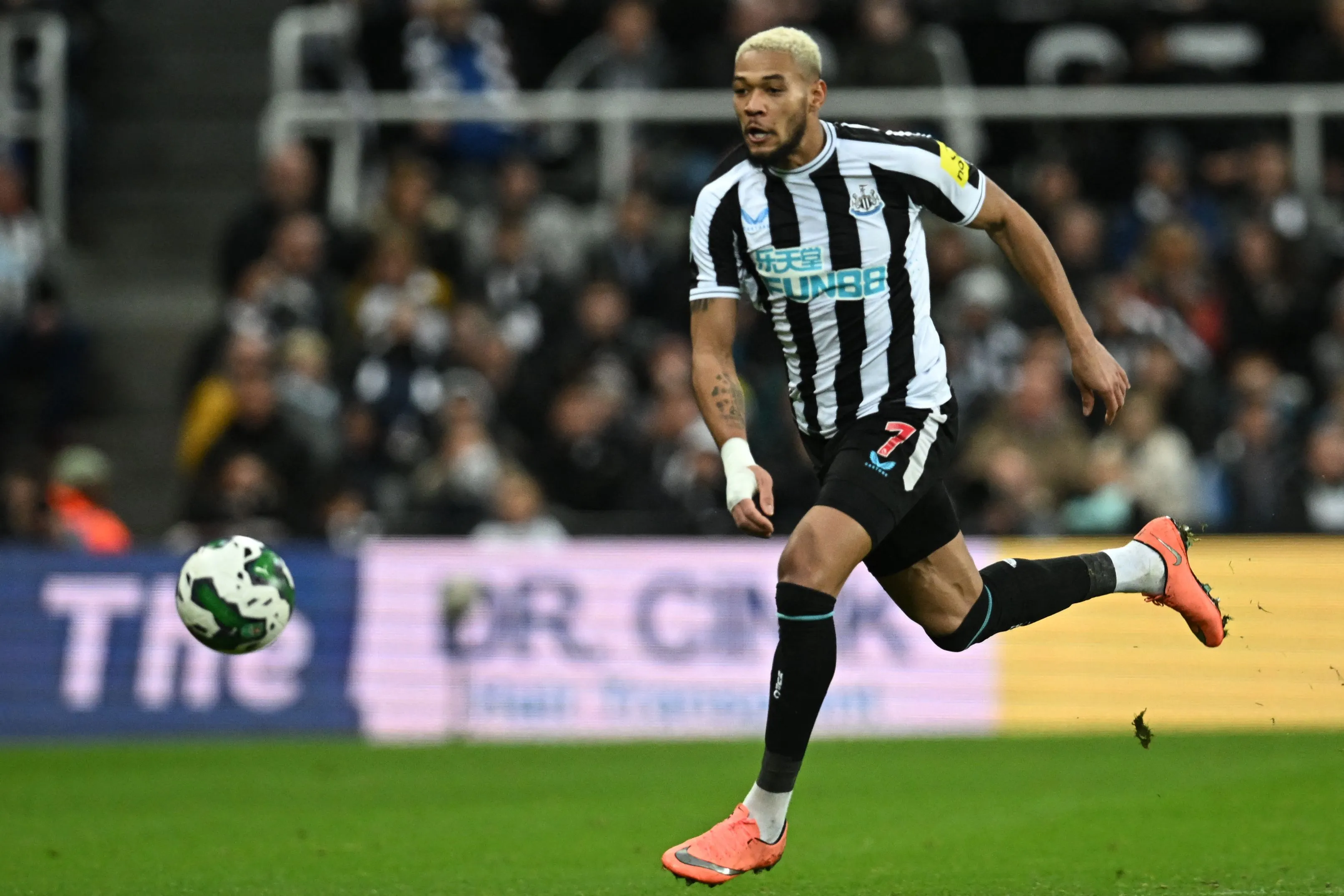 Newcastle Uniteds Brazilian Striker Joelinton 787655720