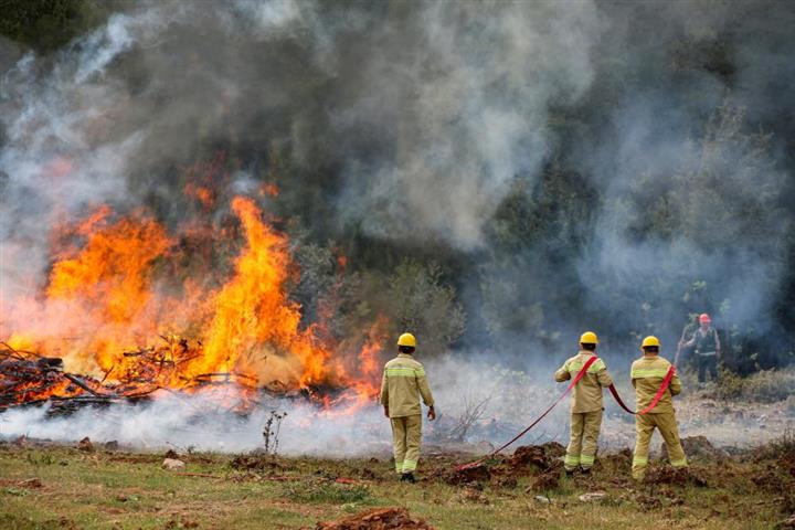 Otrman Yangini Sezonu (Small)