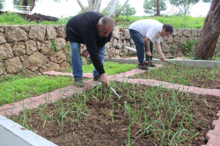 Psikiyatri Hastalarina Bahce Bakimi Asc 41984 (1) (Small)