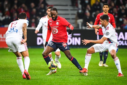 Shutterstock 12641587F