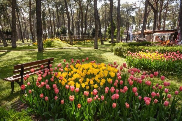 257 Entry 1619630034