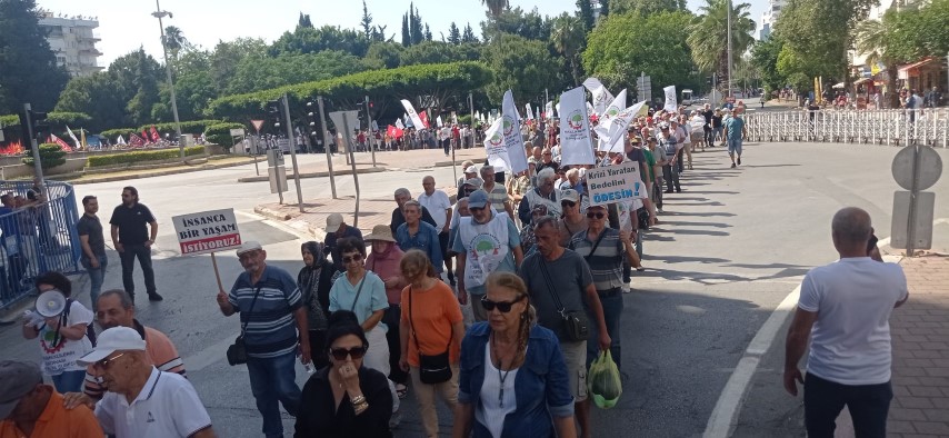 34A8274C 441D 43A4 87D8 8C4255248888 (Small)