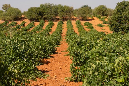 360 F 451268611 D Xc Kn M C B A7Fb0 R4K Qc9S Ep Ve G R V Q J Uq O