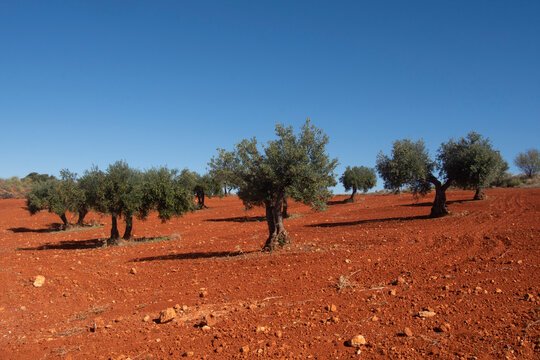 360 F 467107677 Epr Pwq Nog Sl No N9Vv Rnxhb Ke Q3Dq D6T W