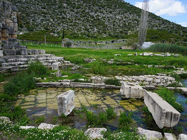 limyra