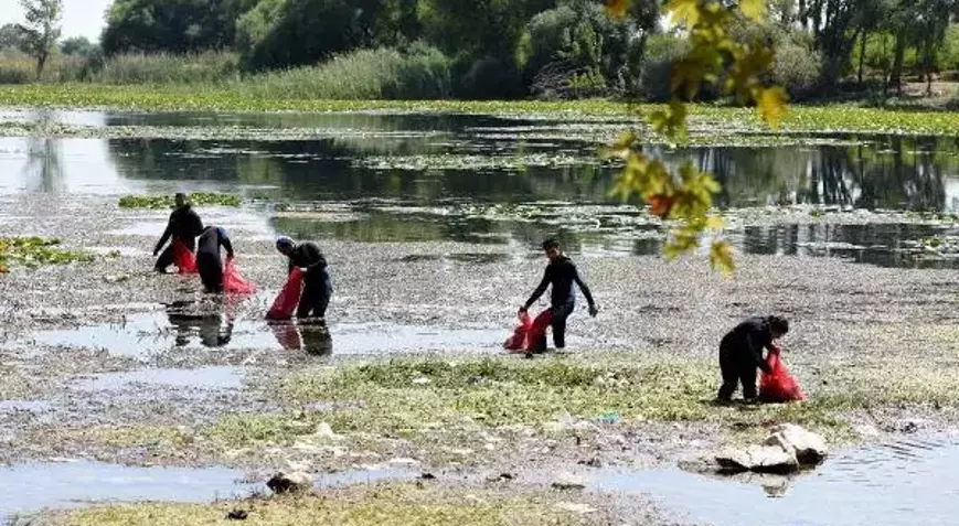 6145E81Dec10Bb1E84B403F4