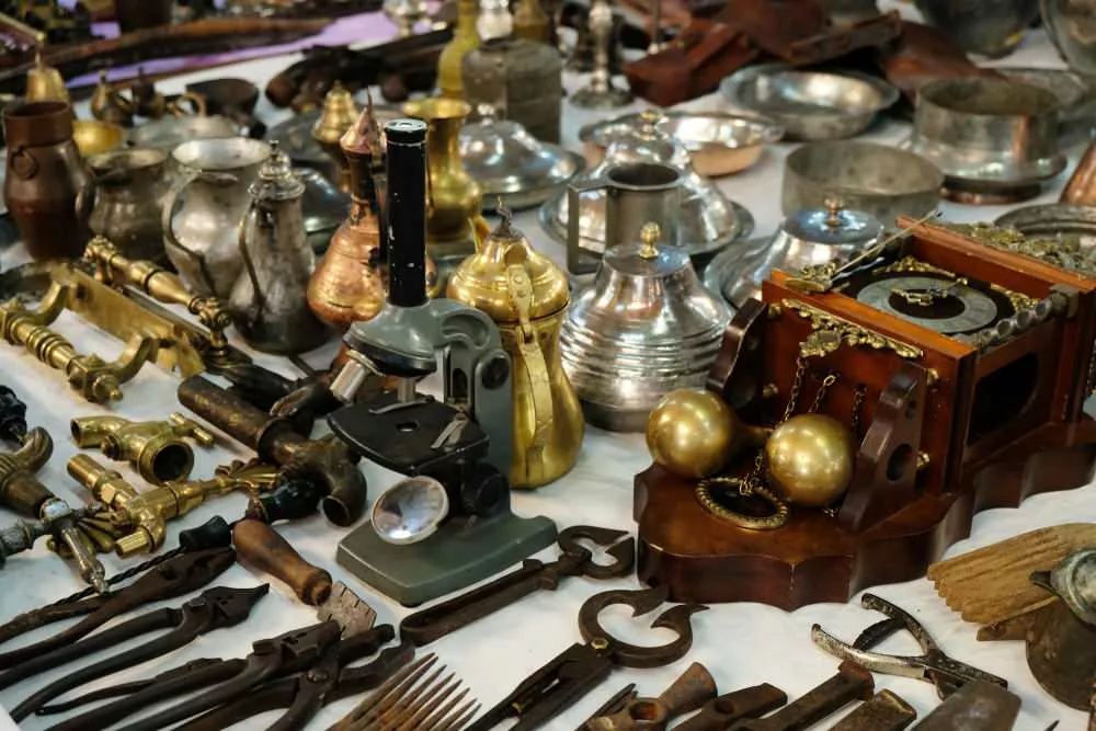 Antalya Bit Pazari 7