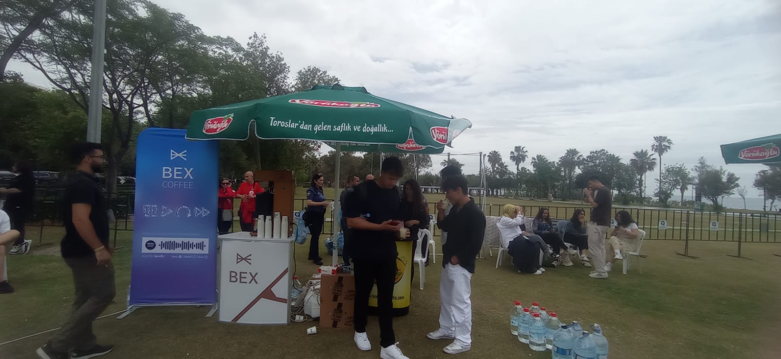 B9788535 9216 40F8 B5Fa 7Fb1Cc29B3Ea