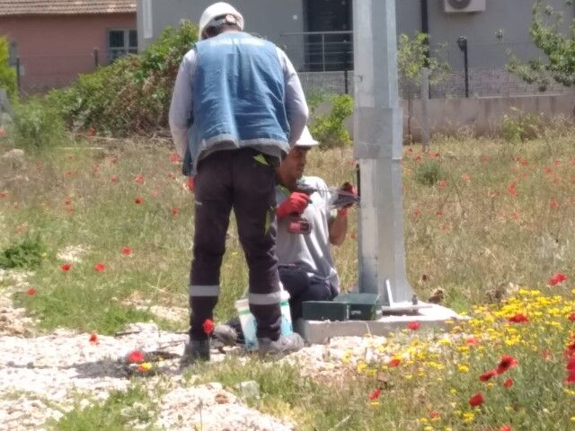 Cade233F 1E23 43F9 9F42 81Cbdd3A6858 (Small)