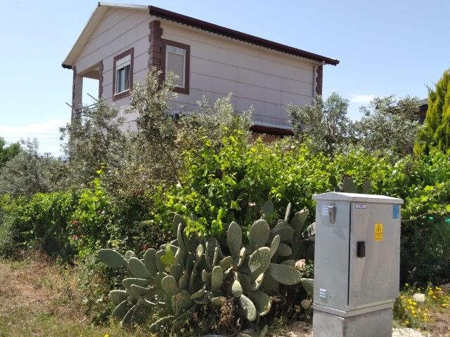 Eced21Ac 7C85 4993 9D47 B5Ebf3Da29Ff (Small)