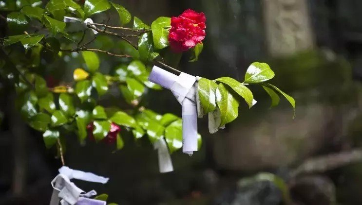 Hidirellez Rituelleri 6