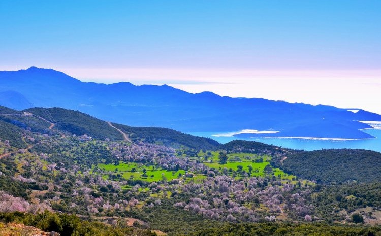 Image 750X 5Ea954726D547