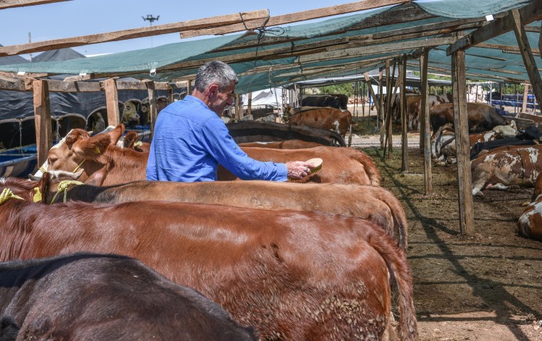 Kepezin Kurban Pazarinda Satislar Basladi 4 (Small)