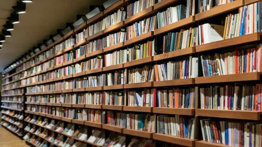 Kutuphaneokuma (Small)