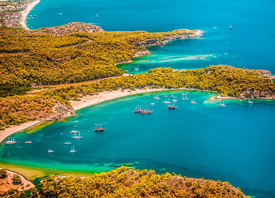 Phaselis Koyu Agaclar