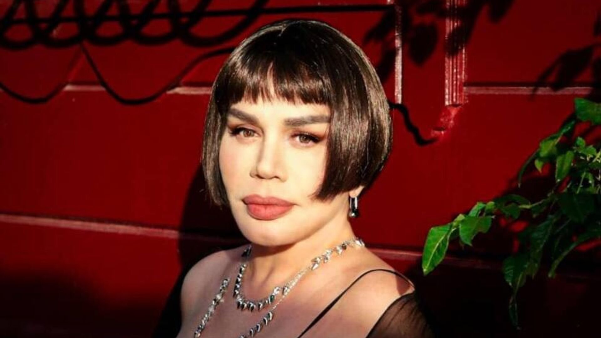 Sezen Aksu Neden Sahneyi Birakti 4