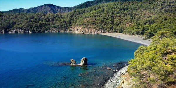 Shutterstock 1177109161 4.02.2021112633