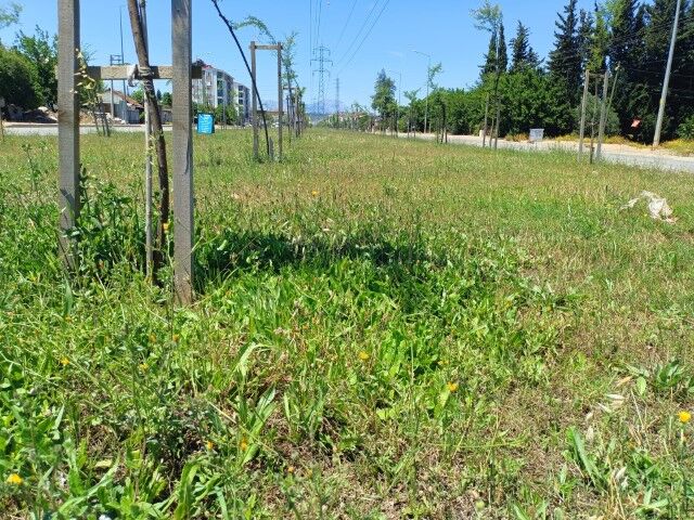 antalya-kaldirimlari-bakimsiz-kaldi