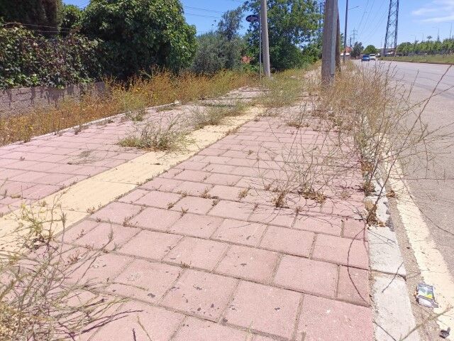 antalya-refujler-bakimsiz-kaldi