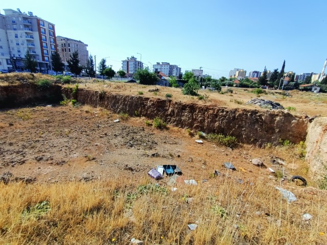 Whatsapp Image 2024 05 27 At 14.28.44 (Small)