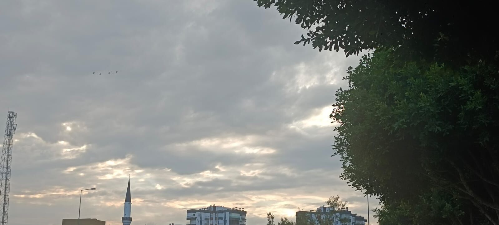 Whatsapp Image 2024 05 30 At 18.45.40