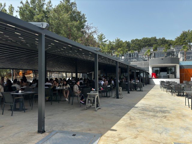 Whatsapp Image 2024 05 31 At 01.53.02 (Small)