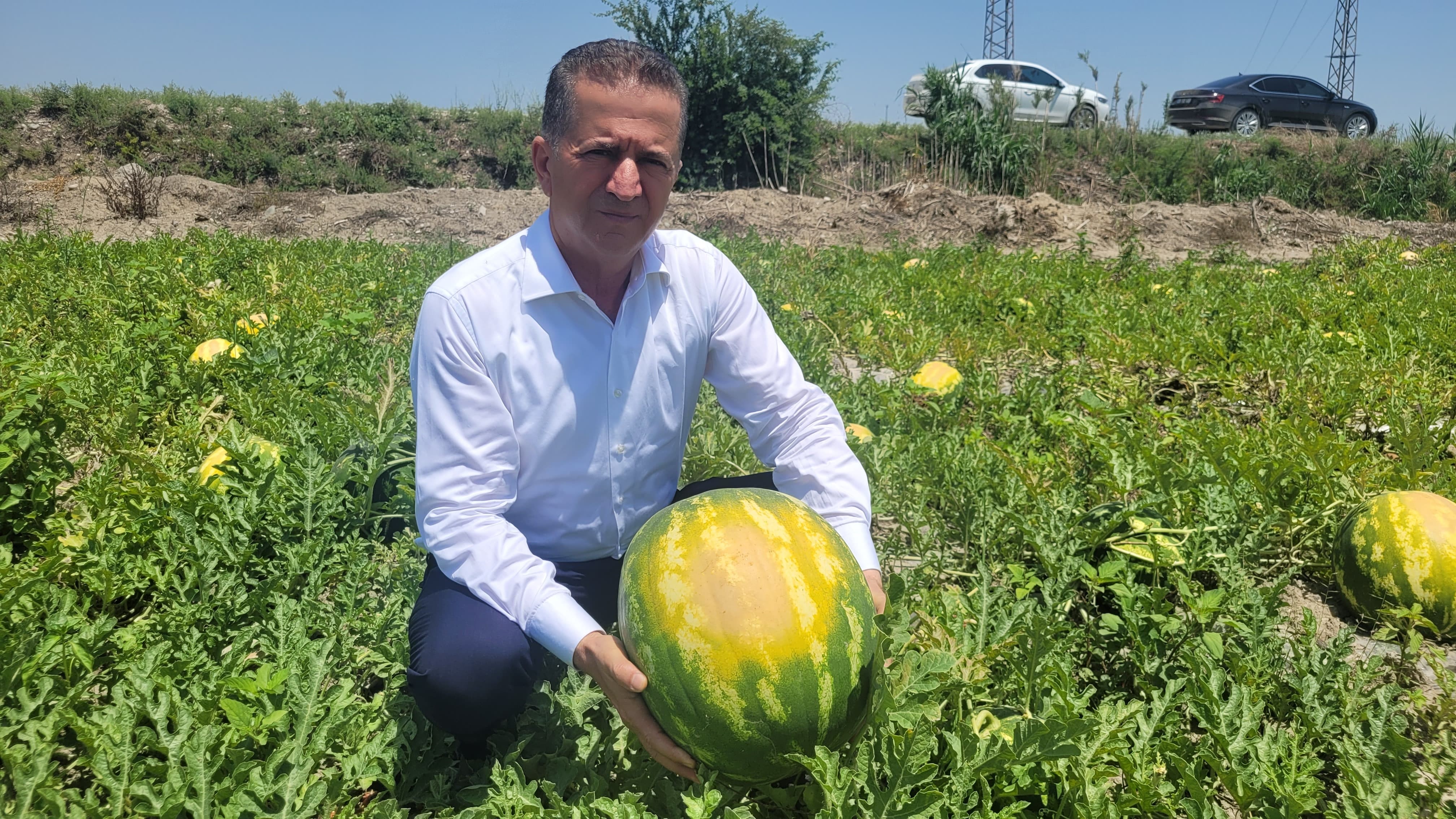 Adana Sıcak Tarım (2)