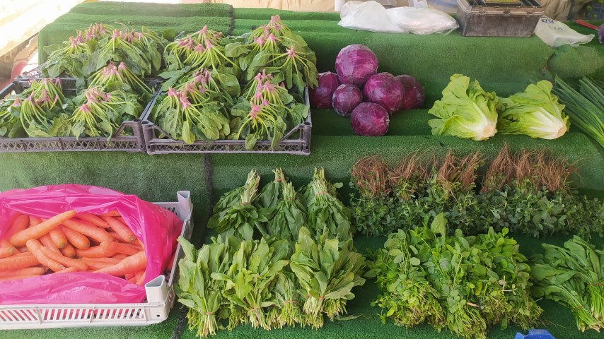 Antalya Pazar Bos Kaldı (3) (Small)