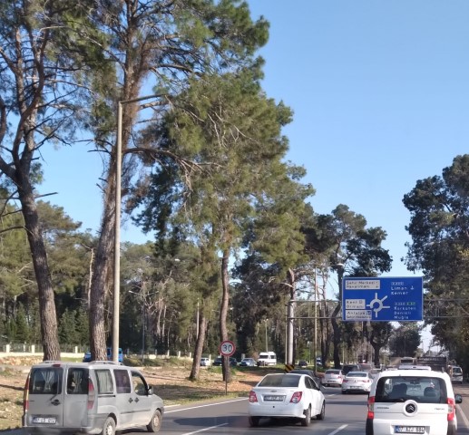 Whatsapp Image 2024 06 10 At 02.33.58 (1) (Small)