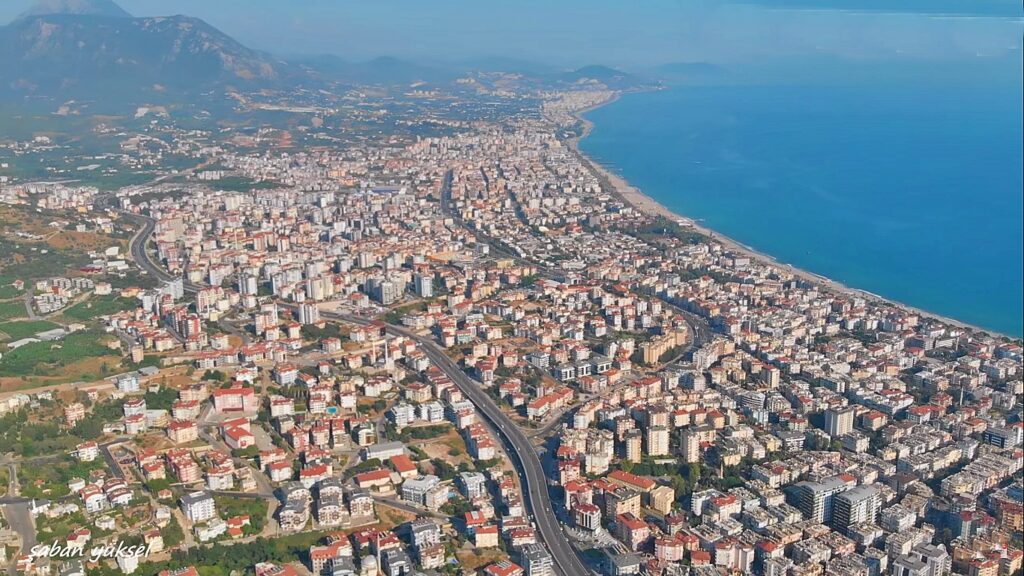 Alanyakusbakısı