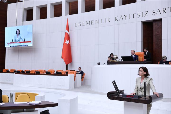 Aliye Coşar Kursu 1 (Small)