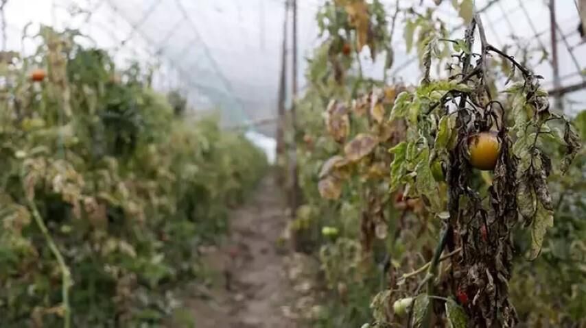 Antalya Iklim Krizi (2) (Small)