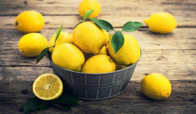Antalya Limon Uretimi (Small)