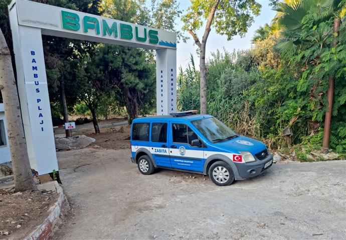 Bambus 7 (2) (Small)
